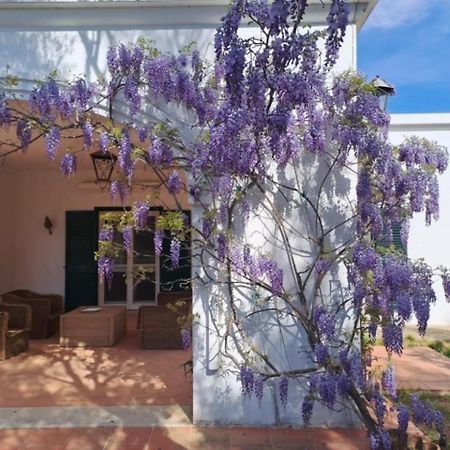 Villa Francesca - Camere Con Giardino Кастелланета Экстерьер фото