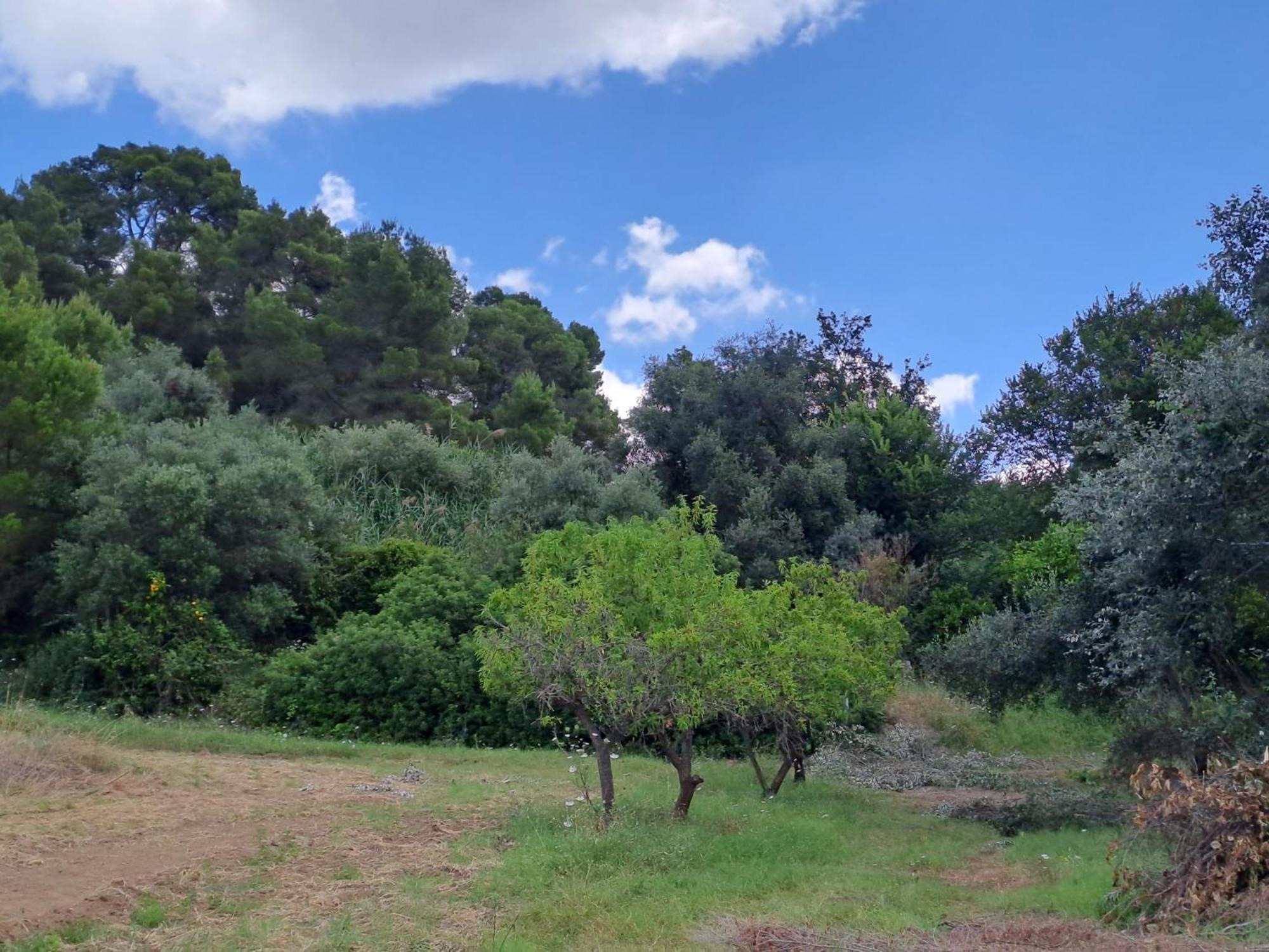 Villa Francesca - Camere Con Giardino Кастелланета Экстерьер фото