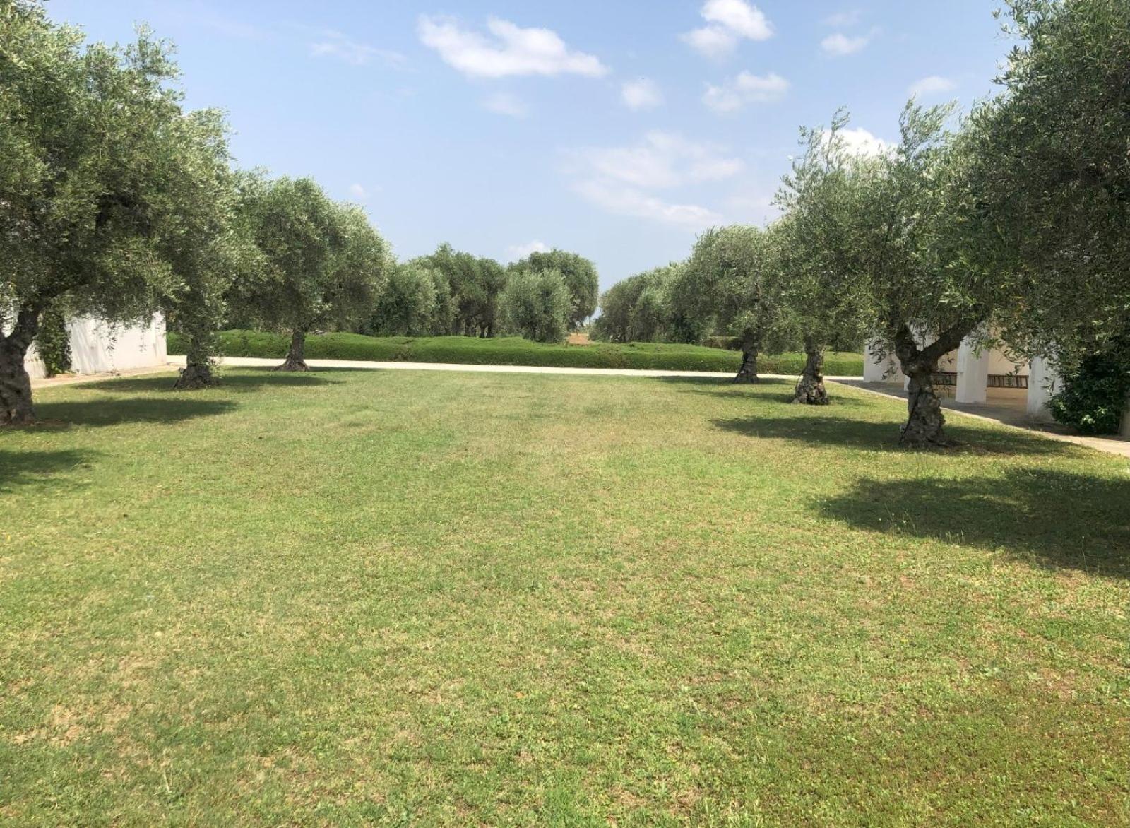 Villa Francesca - Camere Con Giardino Кастелланета Экстерьер фото