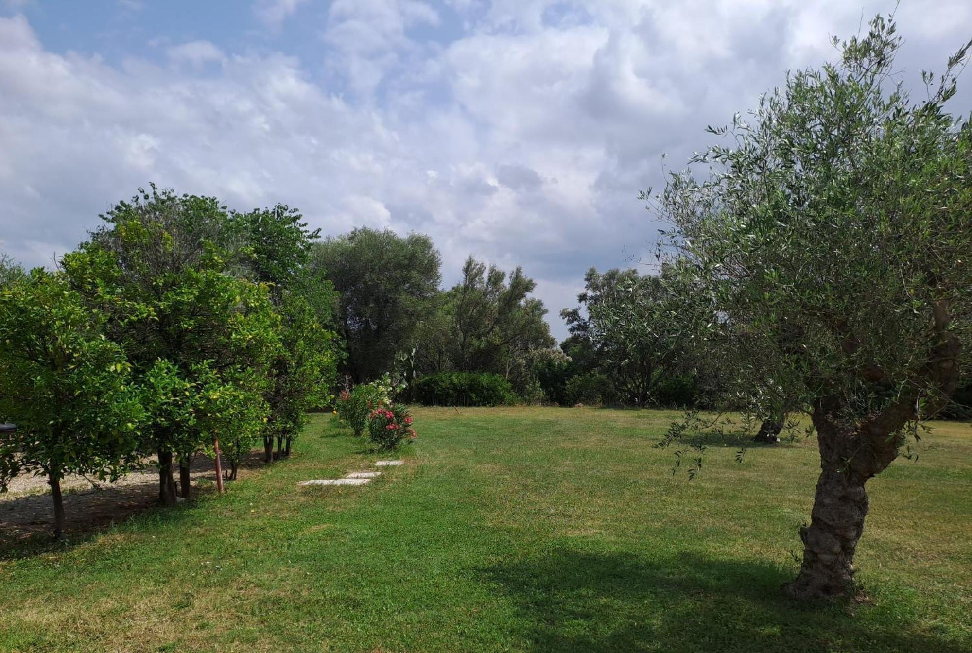 Villa Francesca - Camere Con Giardino Кастелланета Экстерьер фото