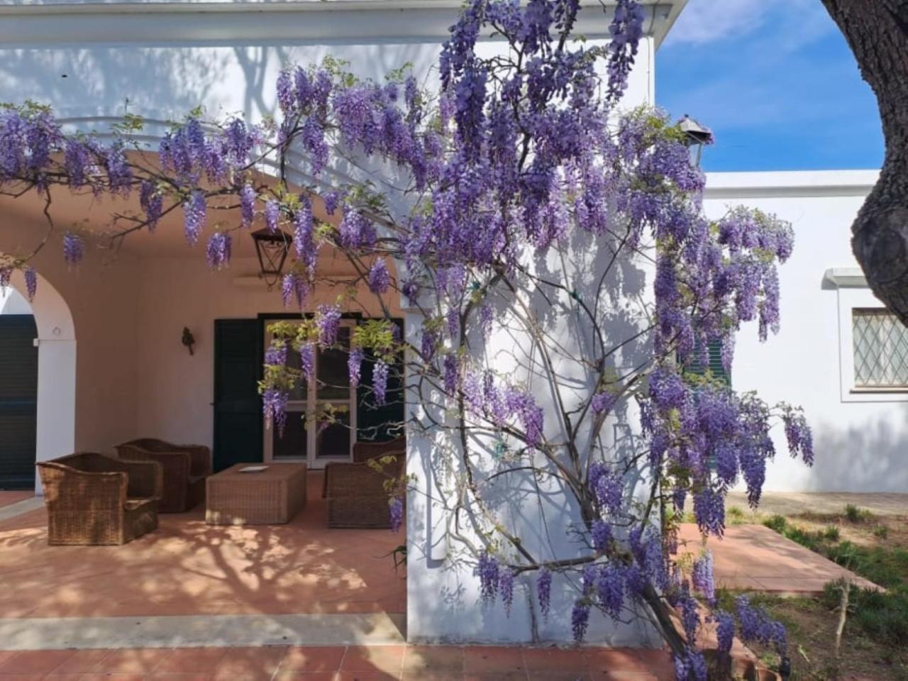 Villa Francesca - Camere Con Giardino Кастелланета Экстерьер фото
